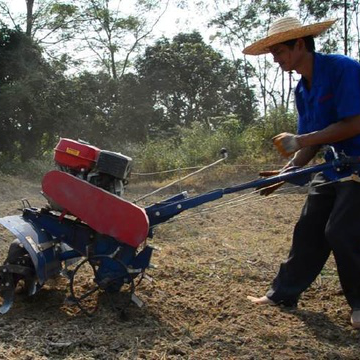 耕作現(xiàn)場(chǎng)(圖1)